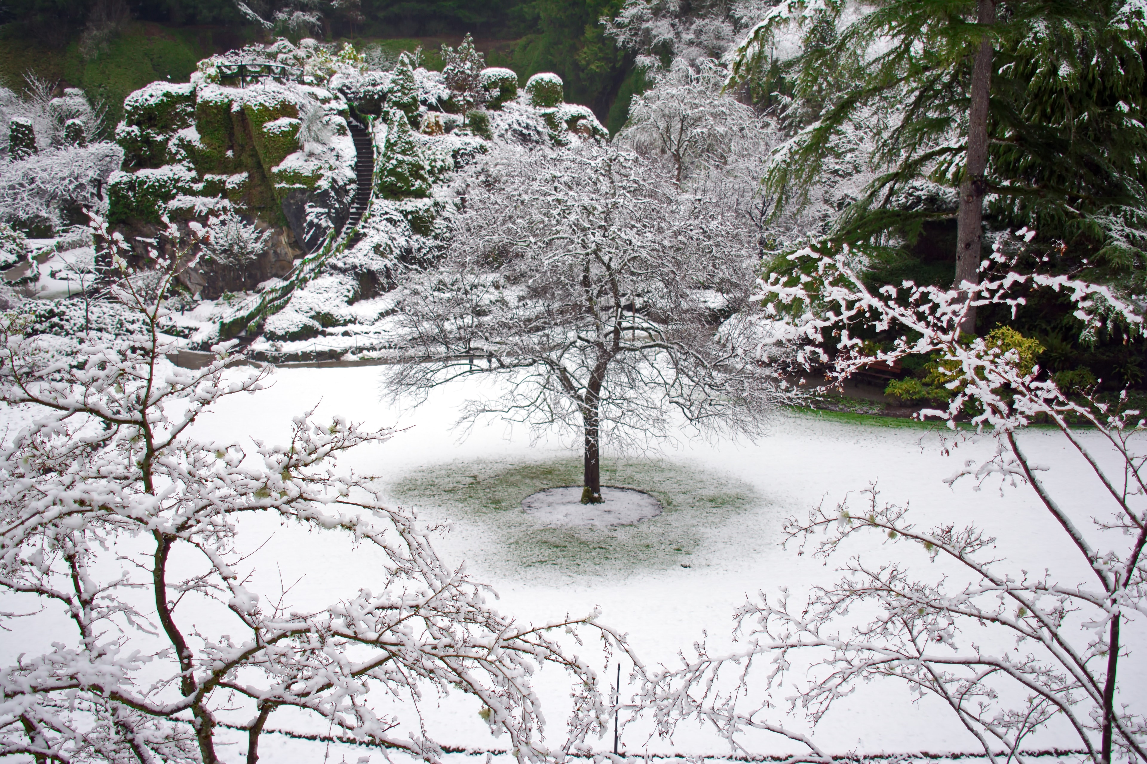 Snow-covered garden with stone steps at Butchart Gardens